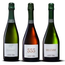 “Les Inspirées” Cases